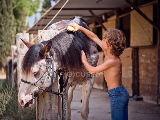 Content boy in jeans grooming horse with brush on ranch on blurred background — Stock Photo