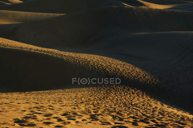 Sandy dunes with traces in sunlight — Stock Photo