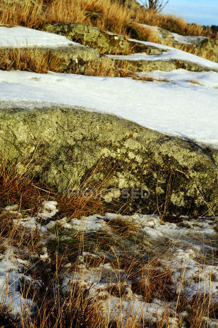 Neige peu profonde sur la vallée rocheuse givrée avec verre séché en Norvège — Photo de stock