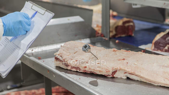 Inspecteur des cultures en uniforme et gants bleus vérifiant la viande avec un thermomètre et écrivant les informations dans le document — Photo de stock
