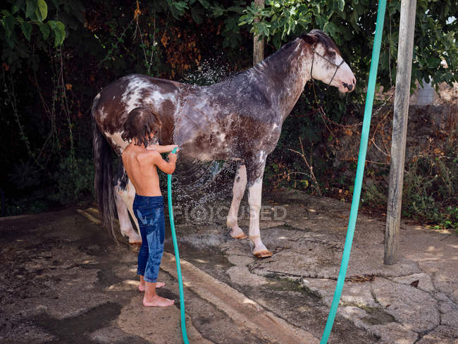 Back view of barefoot boy hosing down stallion with fresh water on farm terrace — Stock Photo