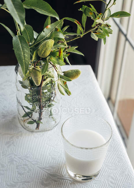 Vaso de leche de almendras en la mesa de cocina - foto de stock