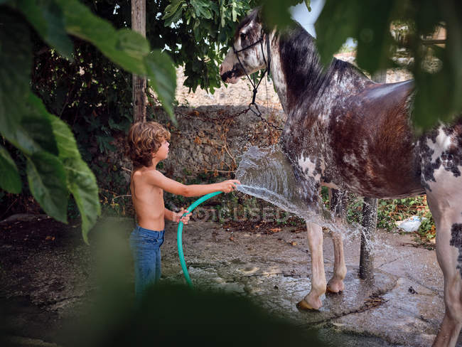 Seitenansicht des barfüßigen Jungen, der Hengst mit Süßwasser auf Bauernhofterrasse abspritzt — Stockfoto