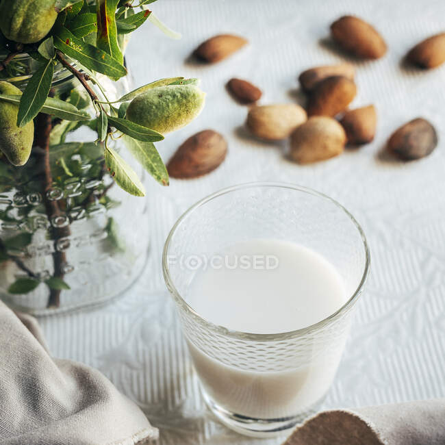 Copo de leite de amêndoa ao lado da chapa de amêndoas em conchas na mesa da cozinha — Fotografia de Stock