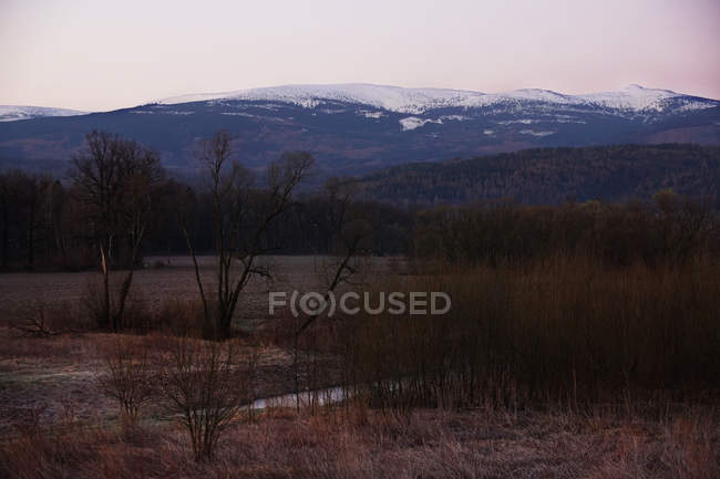 Vista Tranquil del bosque de invierno con árboles y arbustos desnudos sin hojas y montañas nevadas en el sur de Polonia. - foto de stock