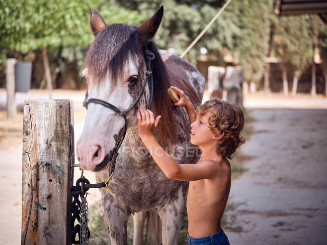 Conteúdo menino em jeans grooming cavalo com escova no rancho no fundo embaçado — Fotografia de Stock