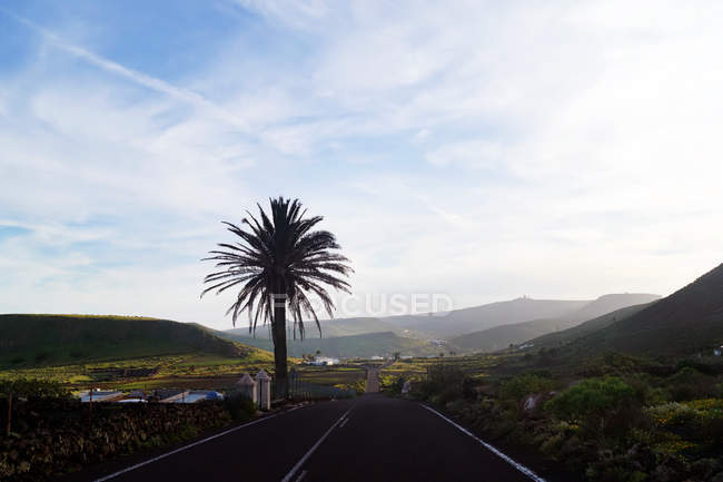 Пустая кривая дорога, идущая к горному валу вдоль темного поля с зеленью в Лароте Канарских островов Испании — стоковое фото