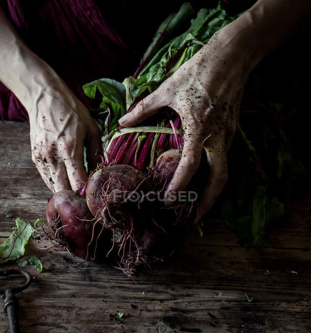 Woman holding bunch of fresh organic beets with dirty hands on rustic wooden table — Stock Photo