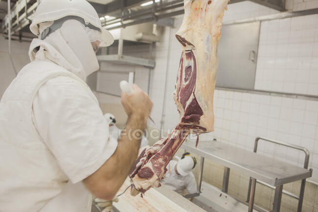 Vista lateral del trabajador bien equipado en uniforme blanco y casco cortando carne con cuchillo en sala industrial ligera del matadero - foto de stock