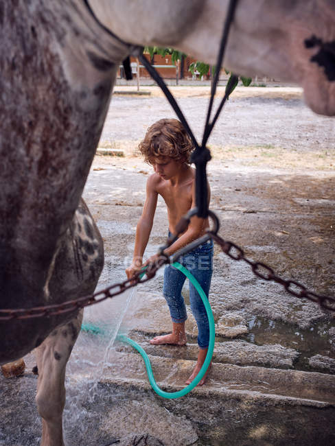 Menino descalço mangueirando garanhão com água doce no terraço da fazenda — Fotografia de Stock