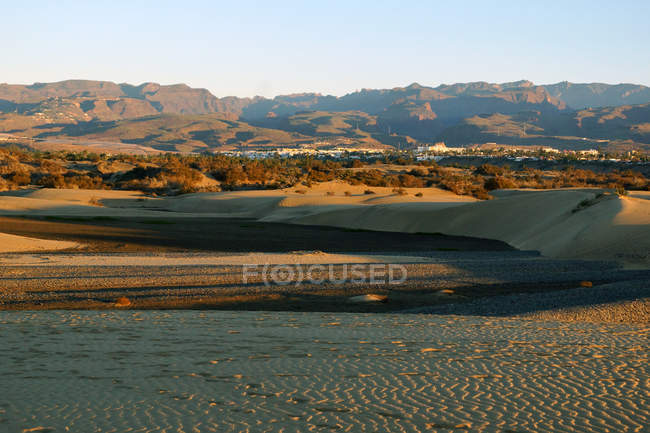 Desert plain with sandy hills and city among trees in distance on sunny day. - foto de stock