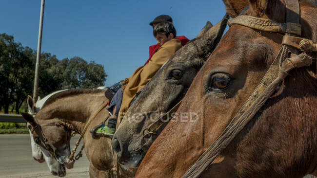 Hombre sin rostro cabalgando caballo en granja con chico - foto de stock