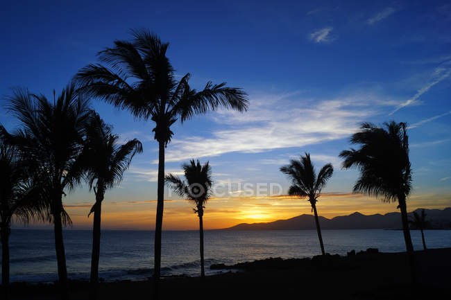 Coucher de soleil ensoleillé avec des palmiers au-dessus d'un paysage mystérieux de rivage rocheux lavé à l'eau ondulée à Lanzarote, îles Canaries, Espagne — Photo de stock