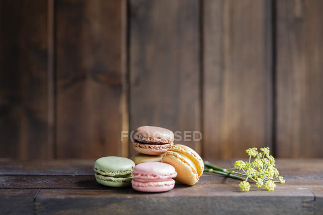 Macaroons saborosos coloridos contra a parede de madeira marrom com flores de endro fresco — Fotografia de Stock