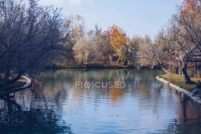 Lago liscio circondato da alberi spogli e colorate foglie arancioni in un parco tranquillo — Foto stock