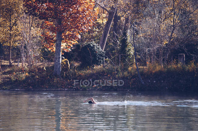 Femme éloignée nageant dans l'eau chaude propre de l'étang dans le spa et profitant de la journée ensoleillée — Photo de stock