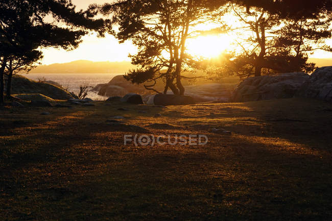 Tranquil woods with evergreen trees with rocks at lake in sun rays — Stock Photo