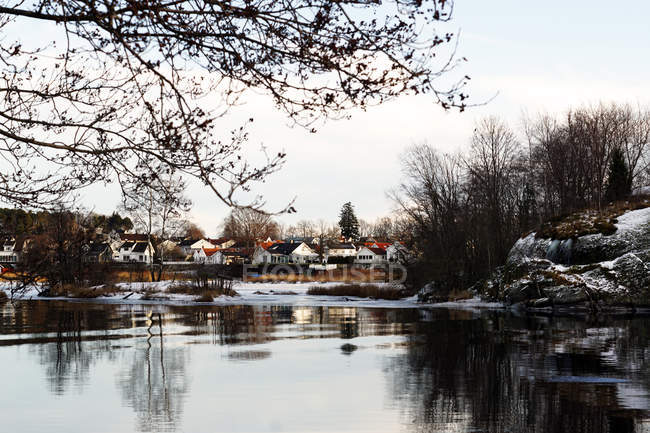 Riva del fiume invernale con alberi senza foglie e case colorate in lontananza — Foto stock
