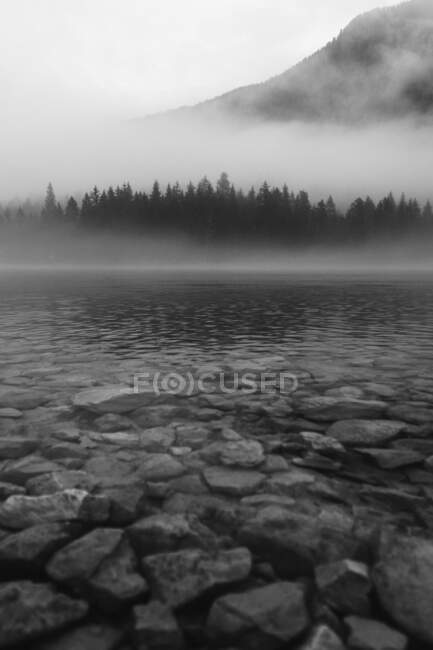 Black and white stone shore of lake with crystal tranquil water on spectacular background of foggy dark dense forest near sloping mountain in Dolomites during overcast weather in daytime — Stock Photo