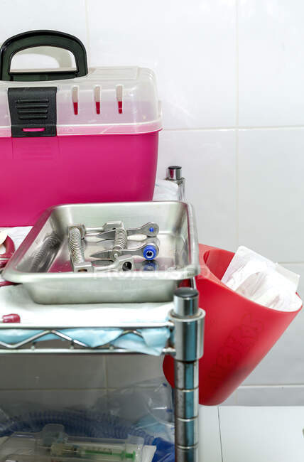 Caja de plástico rosa para llevar gatos y herramientas médicas en bandeja quirúrgica por pared alicatada en clínica veterinaria - foto de stock