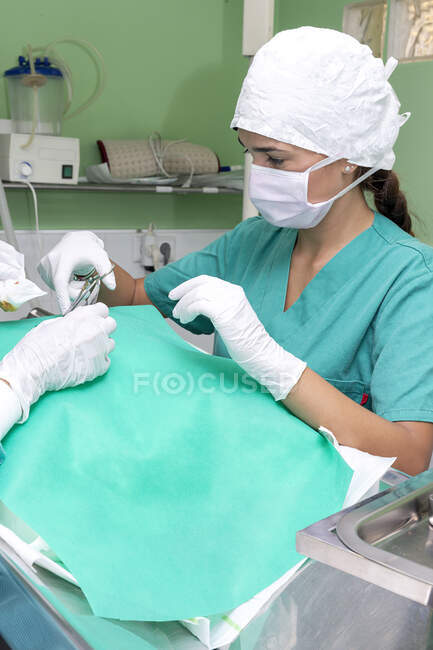 Cirujano y enfermera de pie en quirófano por mesa de metal y trabajando en paciente cubierto en clínica veterinaria - foto de stock