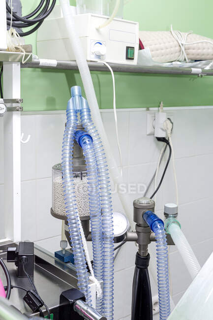 Construction de tubes et d'outils en plastique pour le traitement des animaux dans la salle d'opération de la clinique vétérinaire — Photo de stock