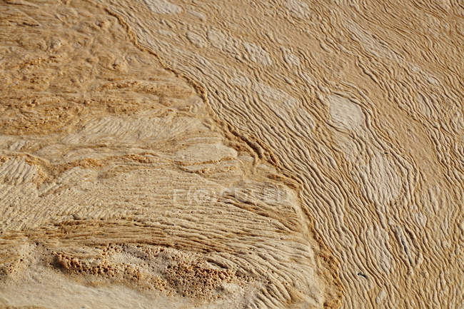 Dall'alto texture naturale di acqua fangosa macchiata in palude con macchie — Foto stock