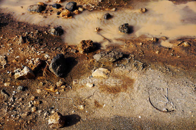 Du haut du marais avec eau trouble et boueuse sol brun et roches noires — Photo de stock