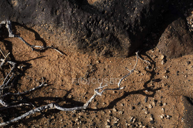 Dall'alto terra arida con rocce e rami secchi di cespuglio di giorno — Foto stock