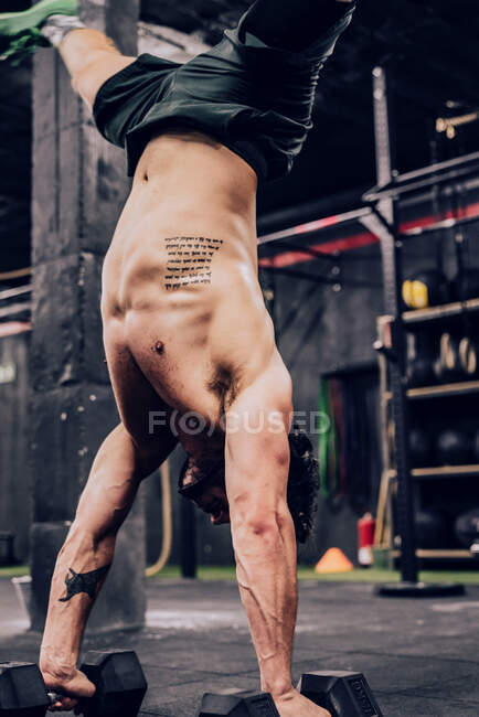 Homem muscular em shorts de pé sobre as mãos com halteres no ginásio moderno em fundo embaçado — Fotografia de Stock