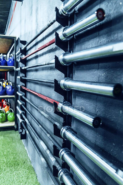 Set of barbells fixed to wall in contemporary health club — Stock Photo
