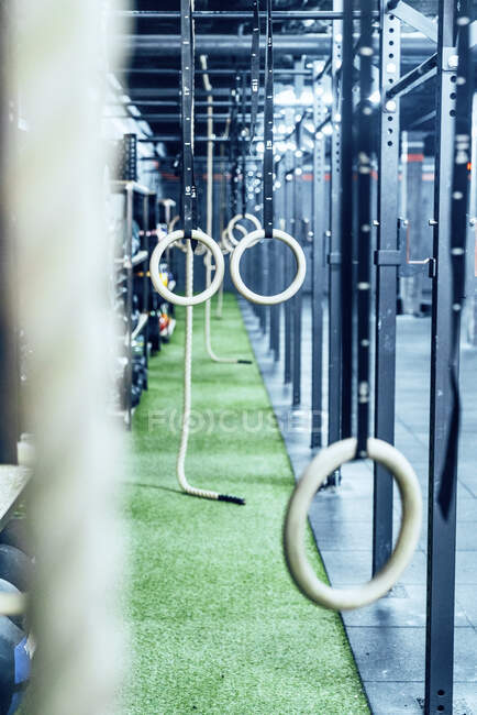 Gymnastic rings and ropes hanging in modern fitness club — Stock Photo