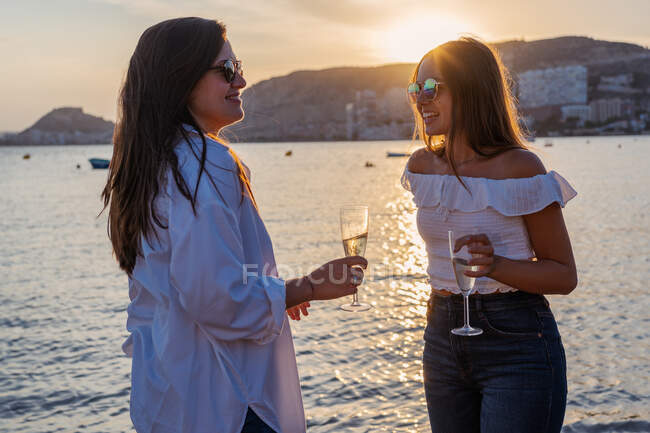 Giovani donne felici che si godono il vino e sorridono in piedi vicino al mare durante la riunione di famiglia in serata in resort — Foto stock