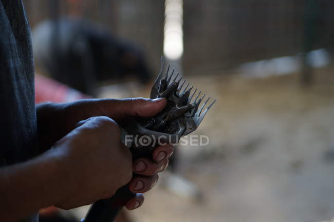 Imagem cortada do homem segurando Professional cortador de ovelhas navalha no celeiro — Fotografia de Stock