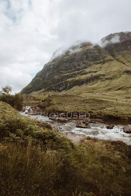 Vista pitoresca da água borbulhante com pedras e samambaias no vale da montanha de Glencoe no verão — Fotografia de Stock