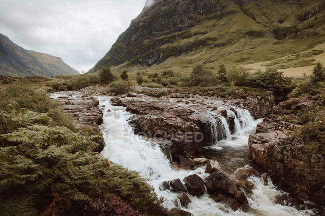 Vista pintoresca de las aguas pluviales con rocas y helechos en el valle de la montaña de Glencoe en verano. - foto de stock