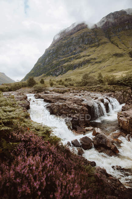 Malerischer Blick auf sprudelndes Wasser mit Felsen und Farnen im Gebirgstal von Glencoe im Sommer — Stockfoto