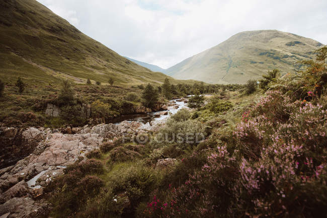 Vista pitoresca da água borbulhante com pedras e samambaias no vale da montanha de Glencoe no verão — Fotografia de Stock
