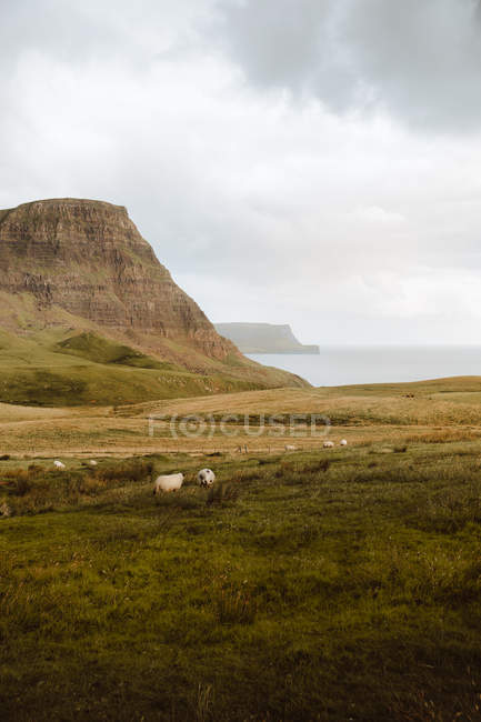 Valle di montagna ricoperta di erba verde vicino al mare nel faro di Neist Point nel regno unito — Foto stock