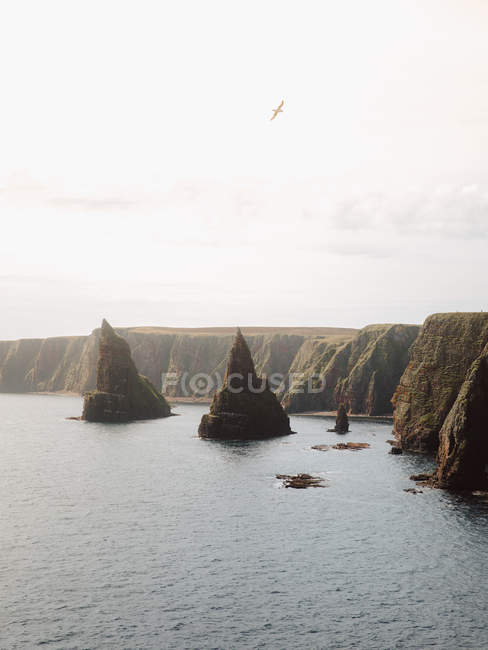 Dall'alto paesaggio mozzafiato di formazioni rocciose a forma di cono in acqua dalla costa a Duncansby Dirigetevi nella giornata di sole — Foto stock