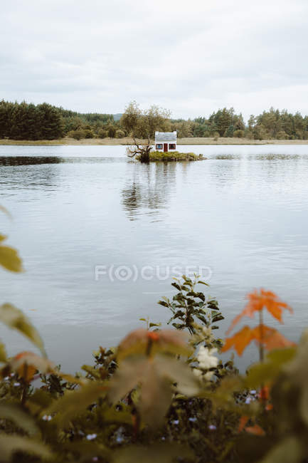 Живописный вид на пруд со спокойной водой и уютный белый дом для птиц в середине дня — стоковое фото