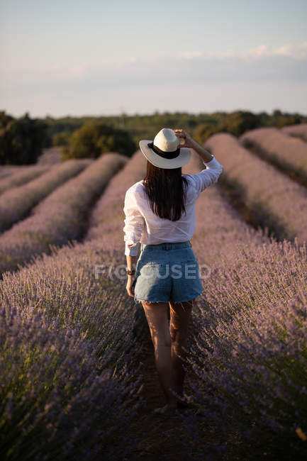 На задньому плані стильна молода жінка в капелюсі йде біля квітів на великому лавандовому полі в сільській місцевості.. — стокове фото