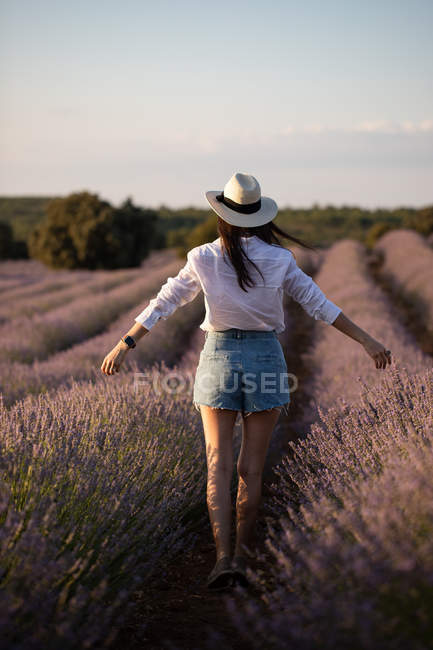 Back view of casual girl in hat walking in flowers of large lavender field in countryside. — Stock Photo
