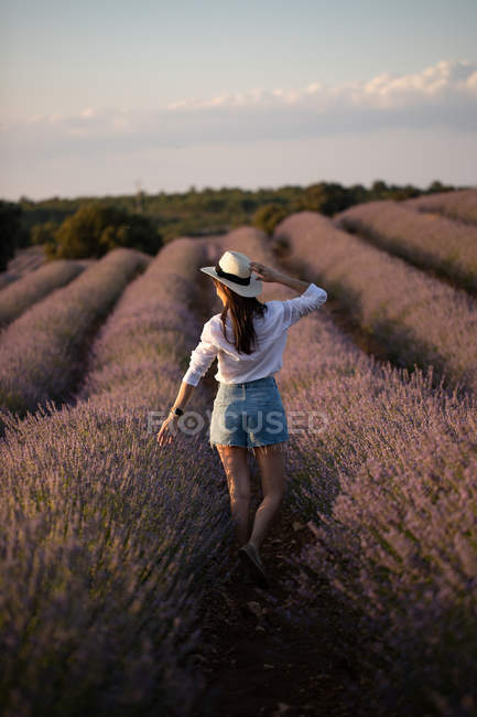 Back view of casual girl in hat walking in flowers of large lavender field in countryside. — Stock Photo