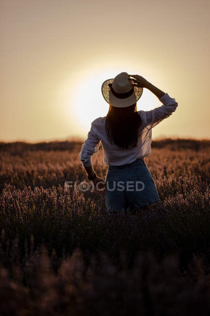 Back view of stylish young female in large lavender field in countryside at sunset. — Stock Photo