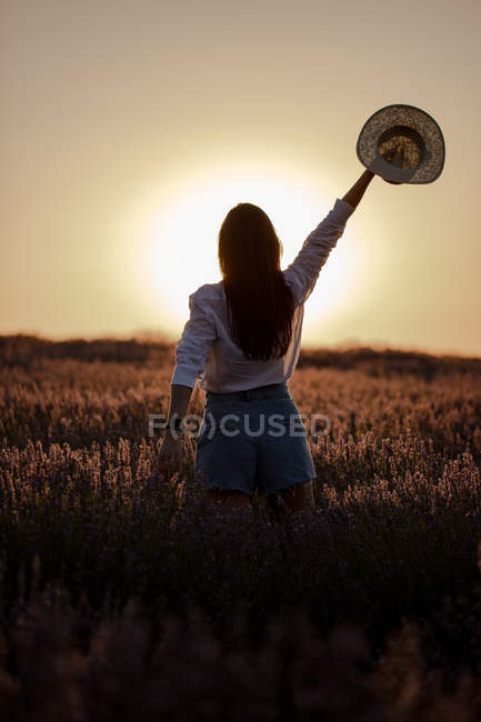 Vista trasera de la mujer joven con estilo en el campo de lavanda grande en el campo al atardecer . - foto de stock
