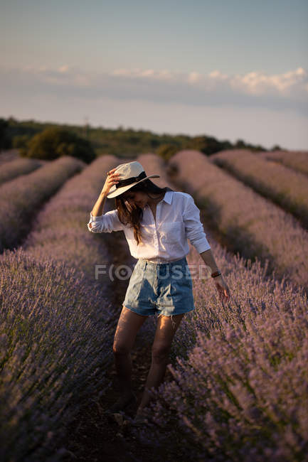 Elegante joven hembra caminando cerca de flores en gran campo de lavanda en el campo . - foto de stock