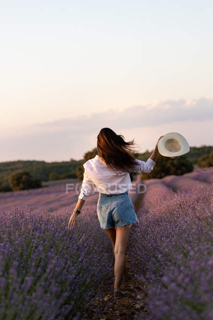 На задньому плані - стильна дівчина, що ходить у квітах на великому лавандовому полі в сільській місцевості.. — стокове фото