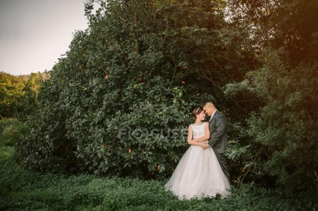 Улыбающиеся жених и невеста обнимаются и целуются в парке — стоковое фото