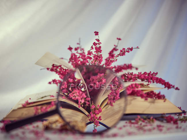 Buch mit Blumen durch Lupe gesehen — Stockfoto
